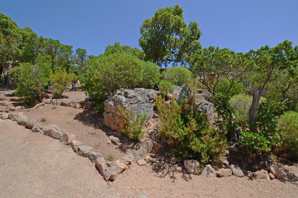Bungalows Du Maquis Porto-Vecchio (Corsica) Exterior foto